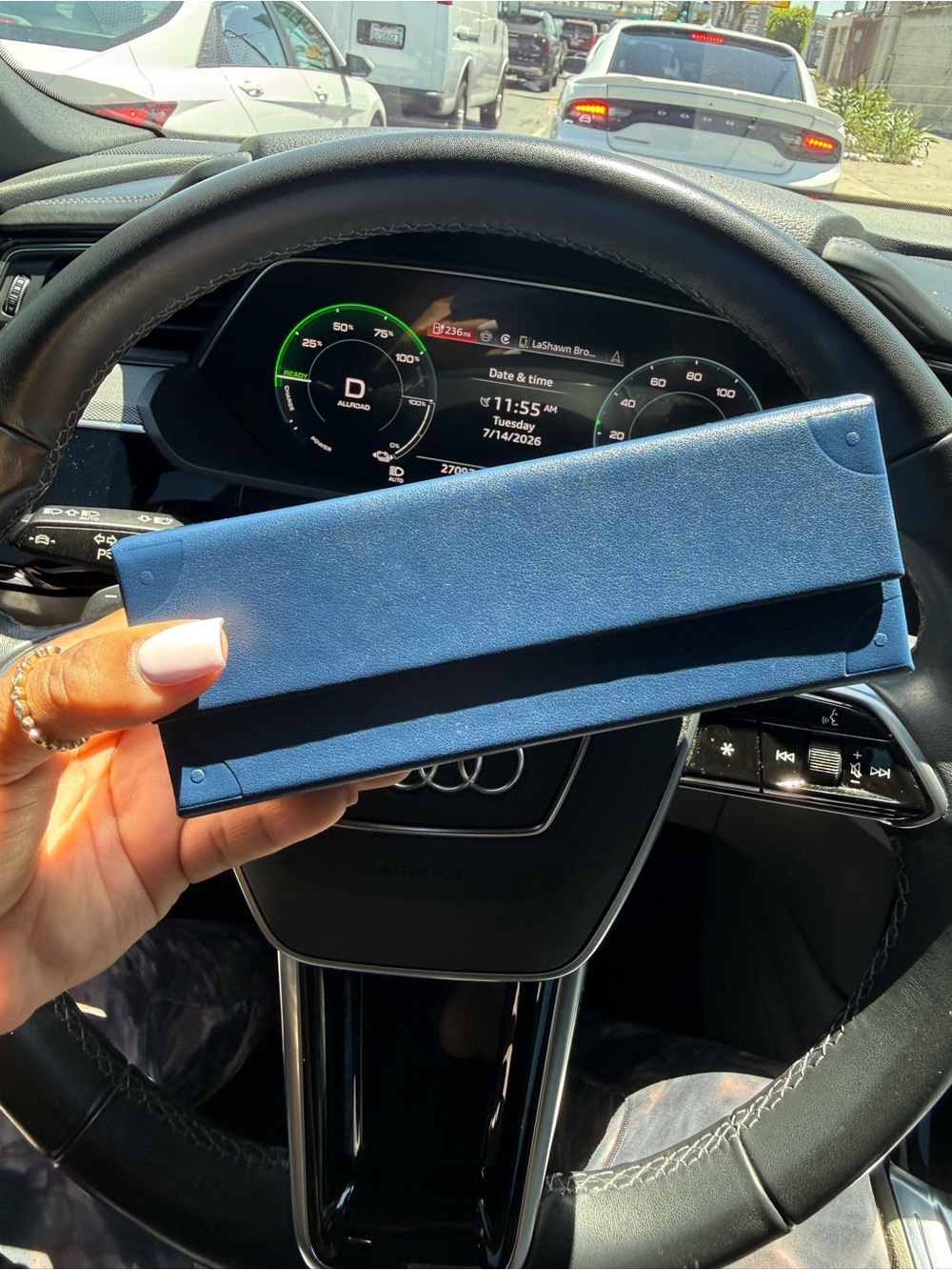 Louis Vuitton Blue Sunglasses Case